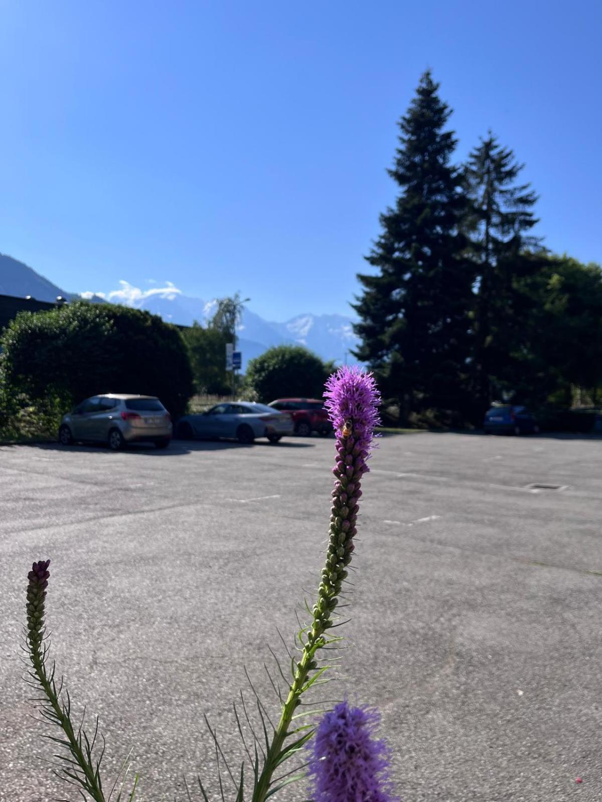 Hotel Ibis Sallanches Porte Du Montblanc Zewnętrze zdjęcie